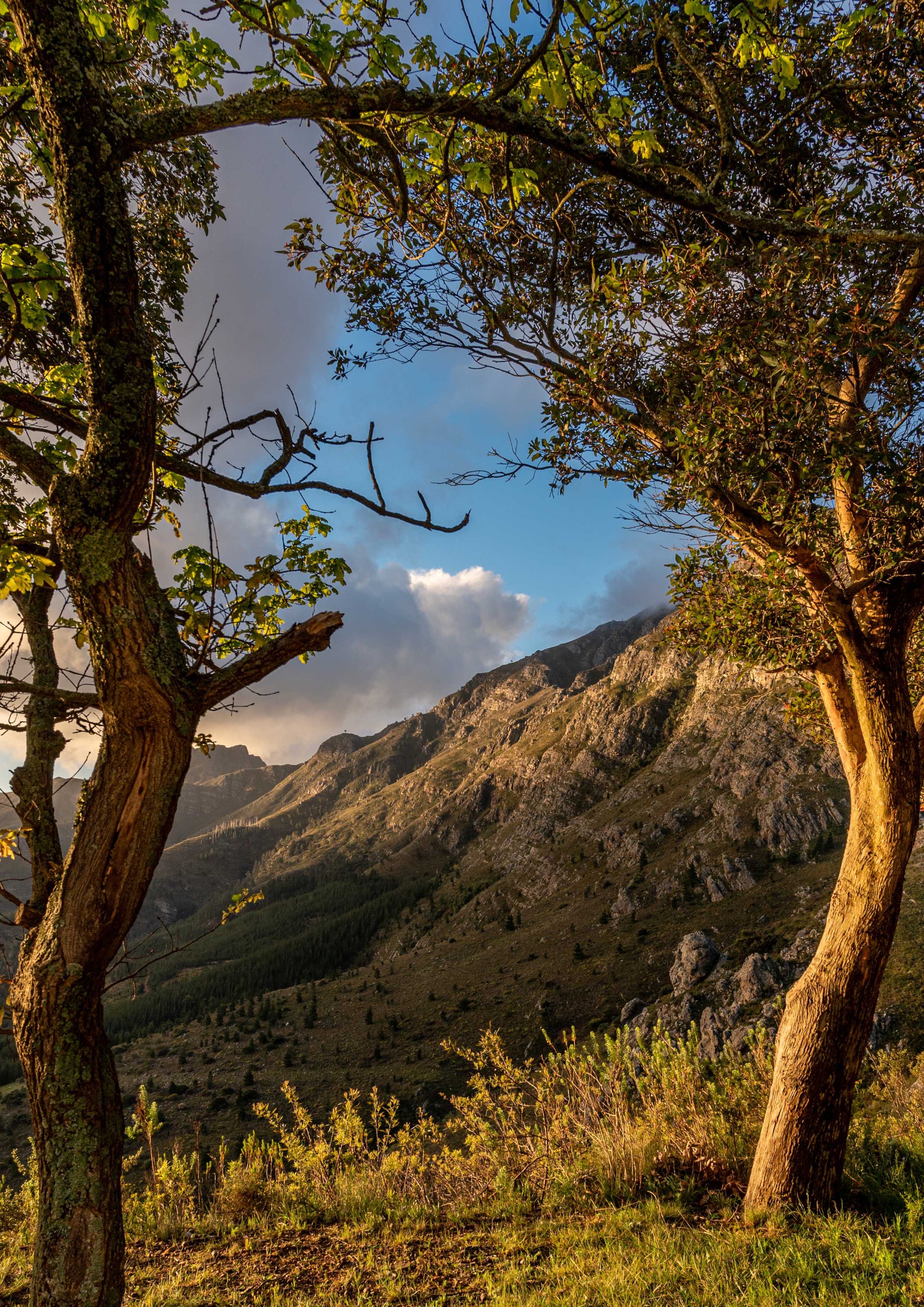 Natures Archway