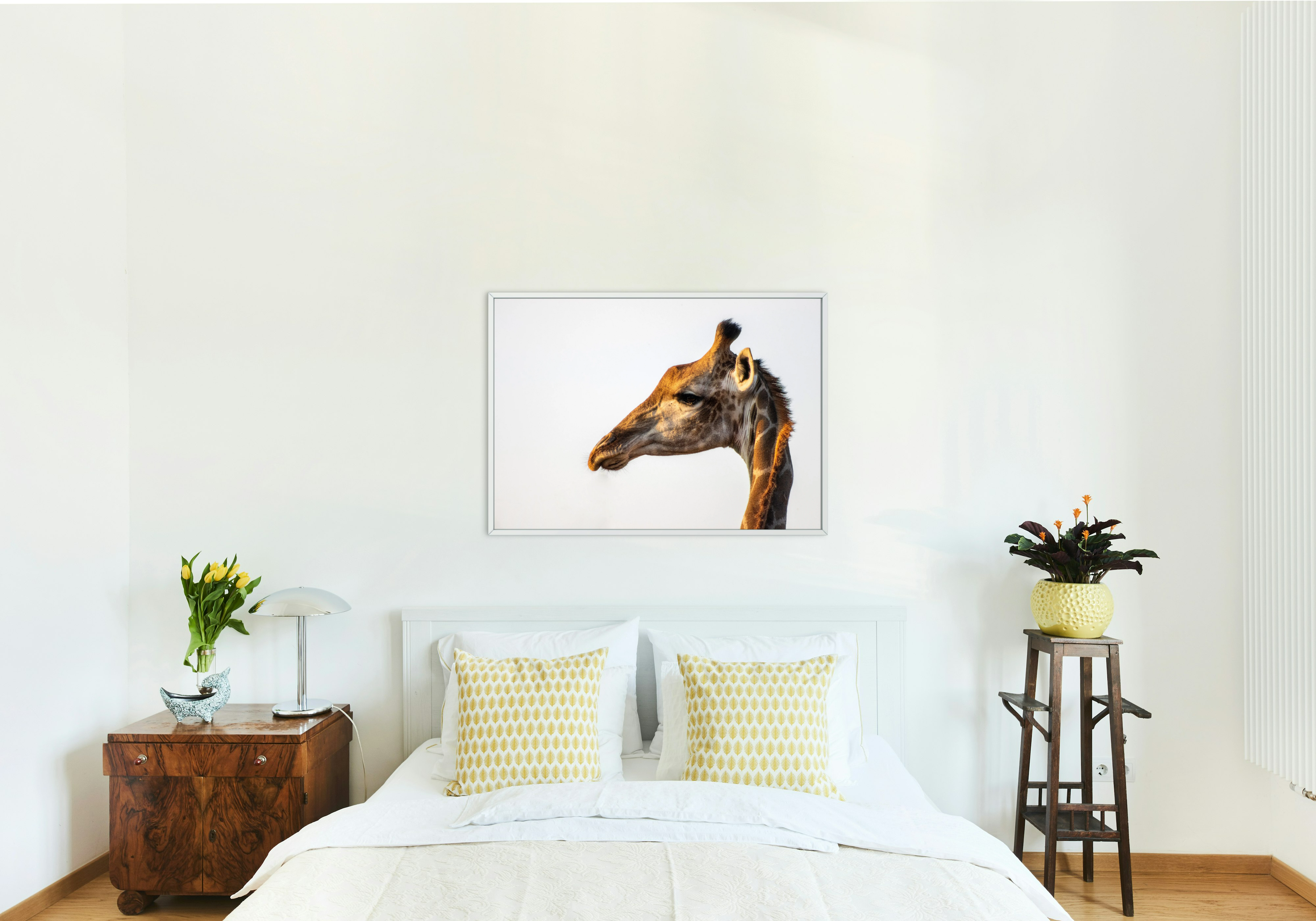 Graceful Grazer