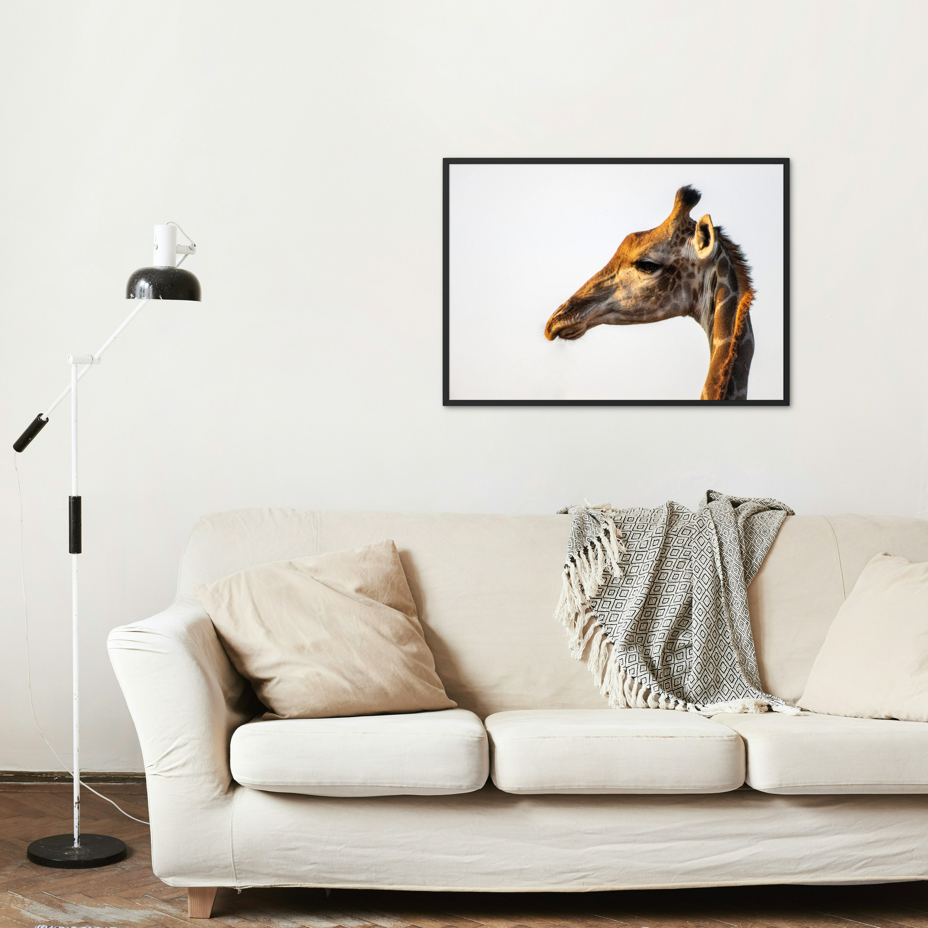 Graceful Grazer