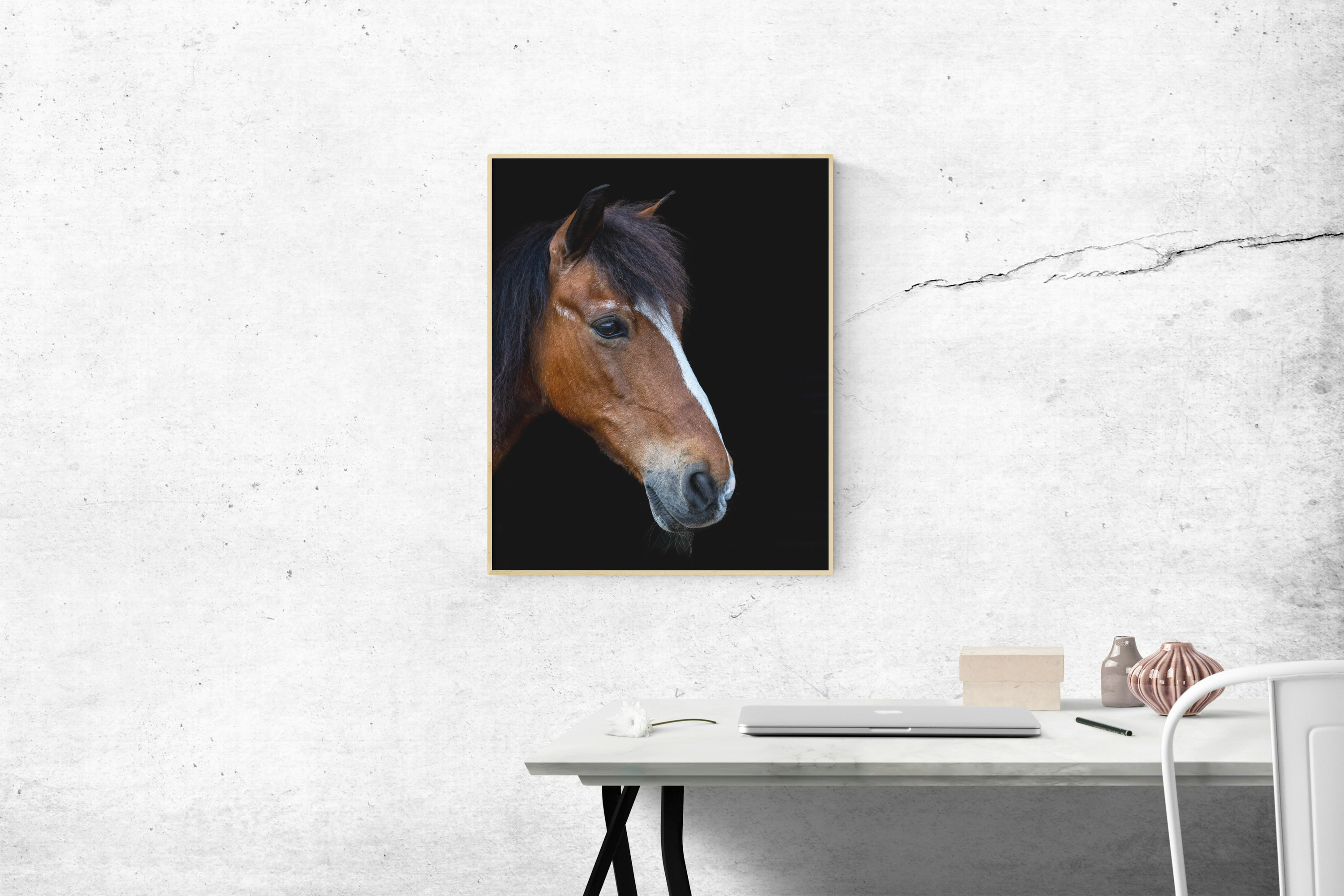 Equine Elegance