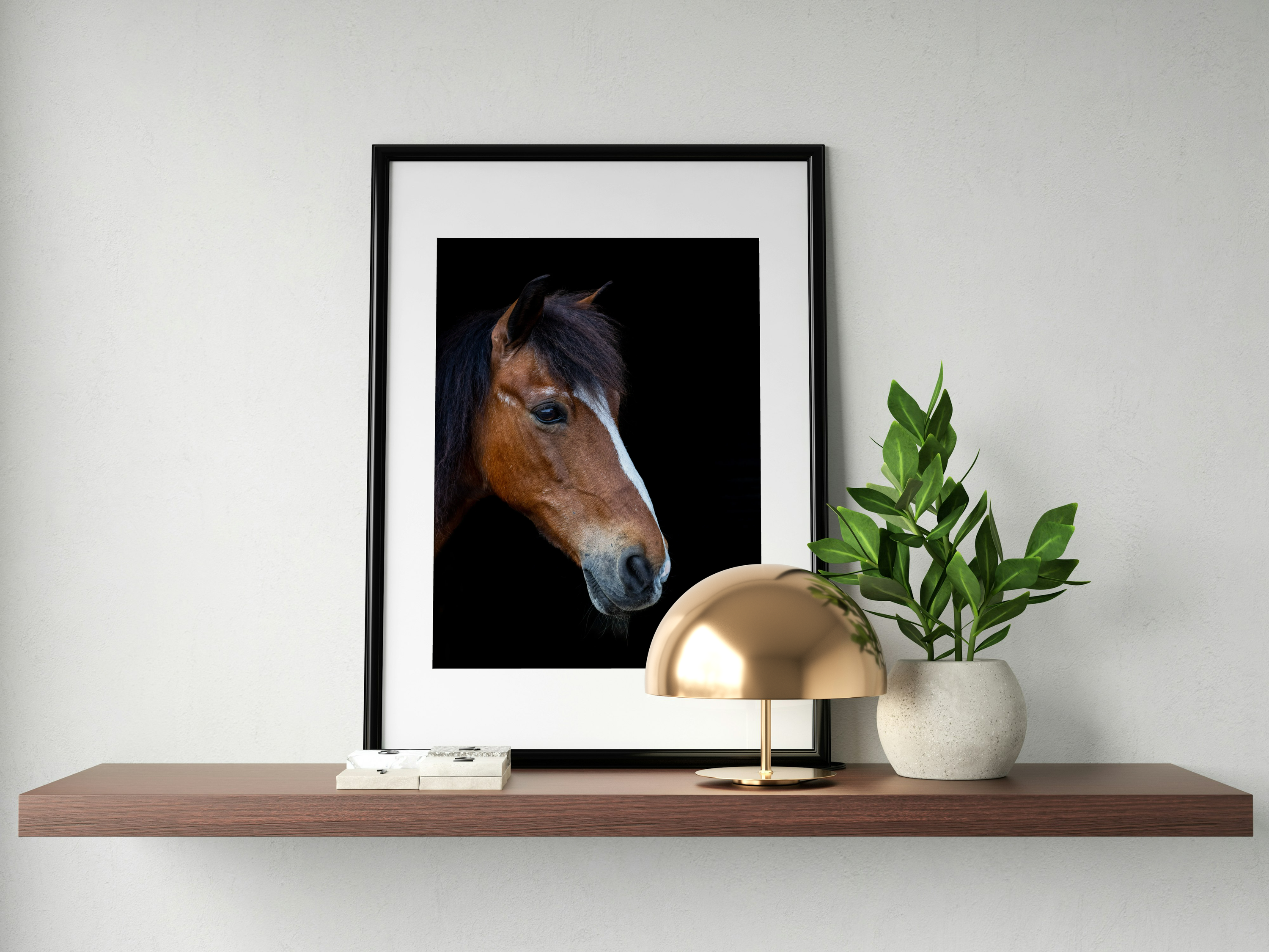 Equine Elegance