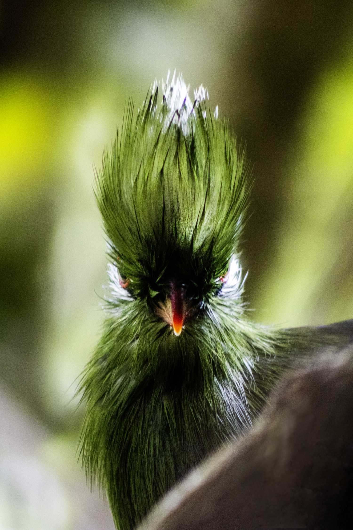 Emerald Keeper